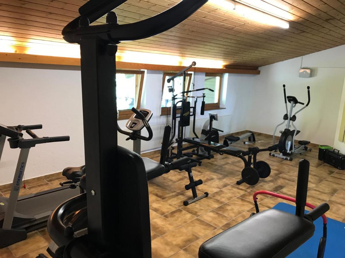 Studio Lofer Sankt Martin bei Lofer Εξωτερικό φωτογραφία